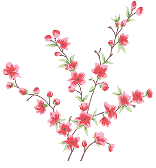 blumen_so_herrlich_wunderschoen