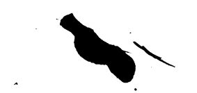 text3