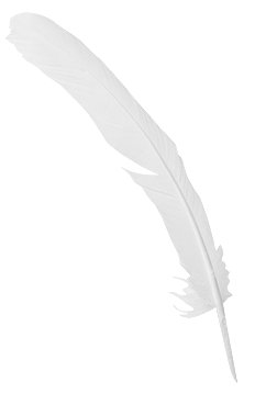 image05
